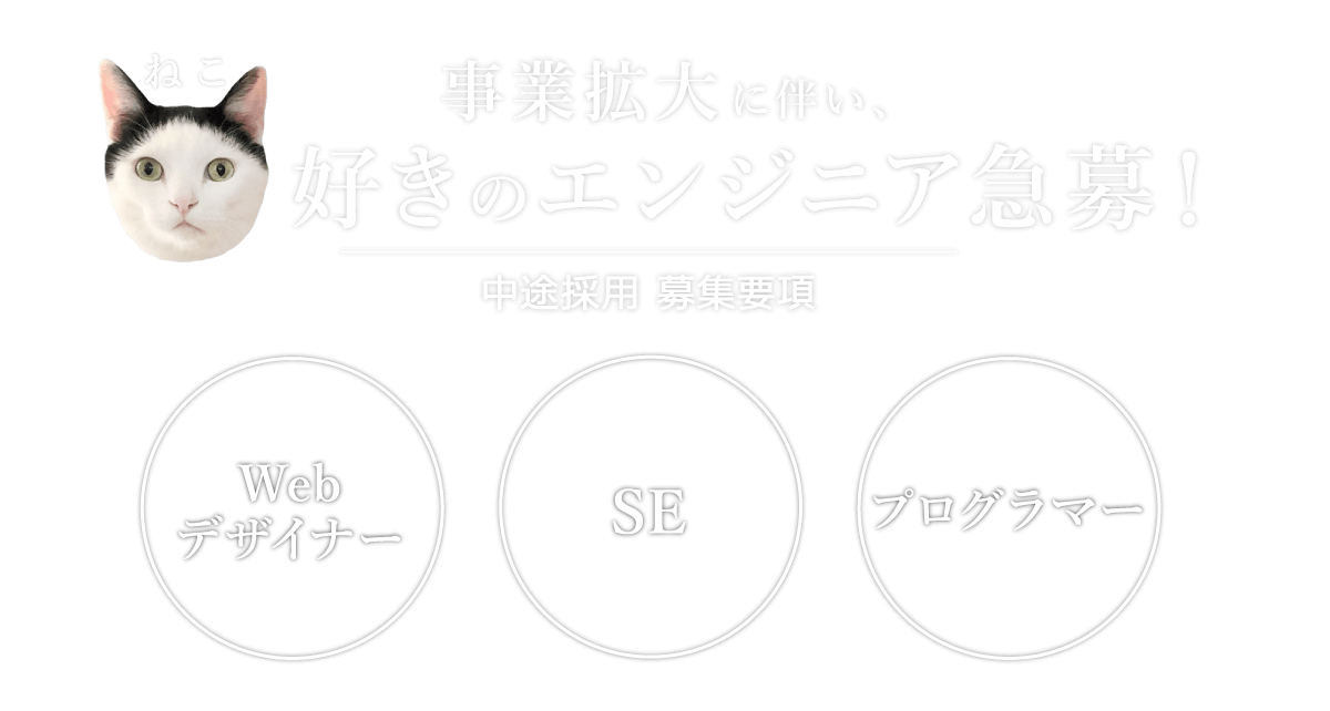 中途採用プログラム ファーレイ株式会社